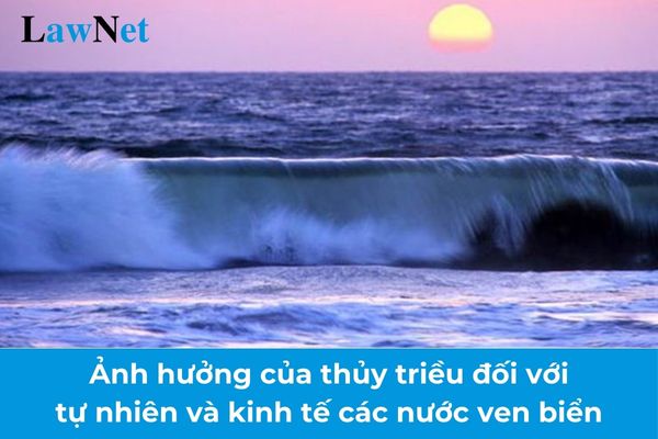 Phân tích ảnh hưởng của thủy triều đối với tự nhiên và kinh tế các nước ven biển? Học sinh giáo dục nghề nghiệp cấp THPT phải kiểm tra lại khi nào?