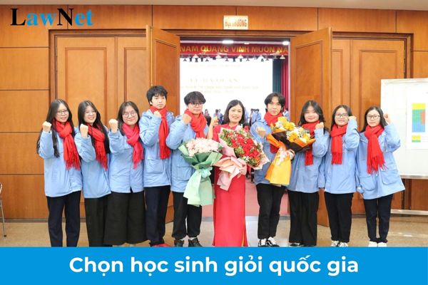 Có bao nhiêu giải trong kỳ thi chọn học sinh giỏi quốc gia?