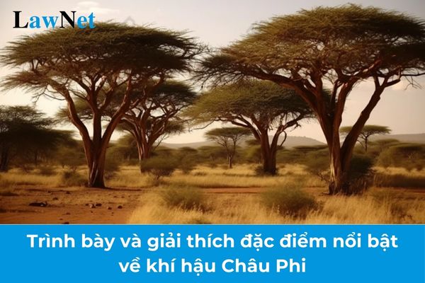 Trình bày và giải thích đặc điểm nổi bật về khí hậu Châu Phi? Học sinh lớp 7 được lên lớp khi kết quả rèn luyện đạt mức nào?