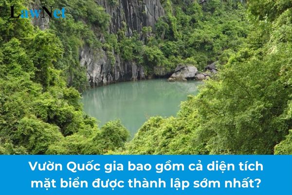 Vườn Quốc gia bao gồm cả diện tích mặt biển được thành lập sớm nhất? Mục tiêu của Chương trình giáo dục phổ thông môn Địa lí cấp THPT?