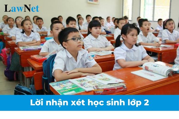 Lời nhận xét học sinh lớp 2 từng môn học theo Thông tư 27 mới nhất? Đánh giá kết quả giáo dục học sinh lớp 2 theo bao nhiêu mức?