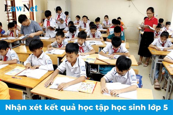 Top những mẫu nhận xét kết quả học tập của học sinh lớp 5 chi tiết nhất theo Thông tư 27? Xét hoàn thành chương trình lớp 5 thế nào?