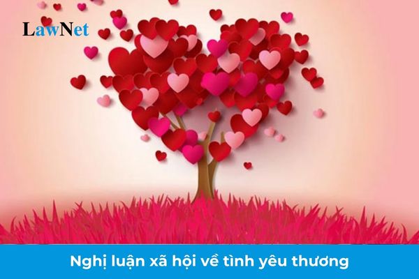 Mẫu bài văn nghị luận xã hội về tình yêu thương lớp 12? Phẩm chất nhân ái của học sinh lớp 12 cần đảm bảo yêu cầu gì?