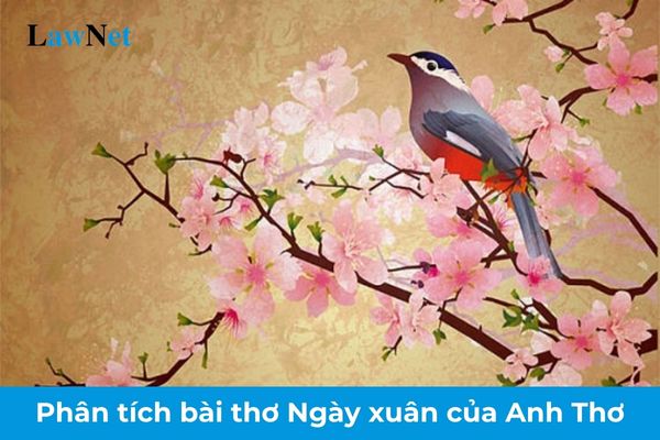 Analysis of the poem Ngày xuân by poet Anh Thơ for Grade 9? 04 evaluation levels of yearly student performance for Grade 9?