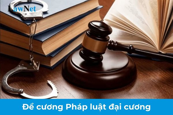 Đề cương Pháp luật đại cương đầy đủ và chi tiết nhất? Chương trình đào tạo trình độ đại học có số lượng tín chỉ tối thiểu là bao nhiêu?