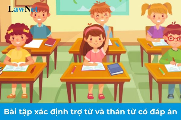 Bài tập xác định trợ từ và thán từ có đáp án lớp 8? Học sinh lớp 8 được học các kiến thức tiếng Việt nào?