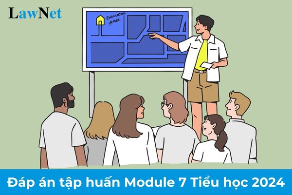 Đáp án tập huấn giáo viên Module 7 Tiểu học 2024: Xây dựng trường học an toàn và chống bạo lực học đường? 