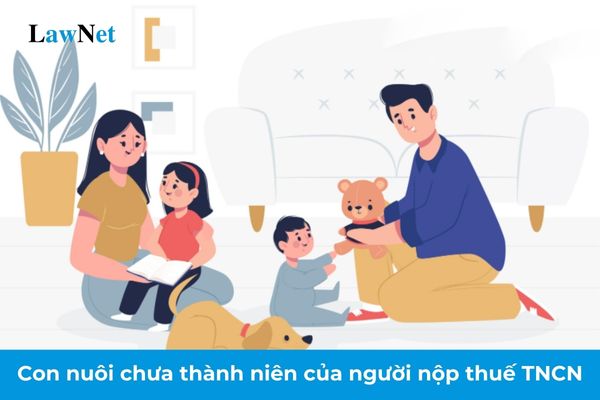 Con nuôi chưa thành niên có phải là người phụ thuộc của người nộp thuế thu nhập cá nhân không?