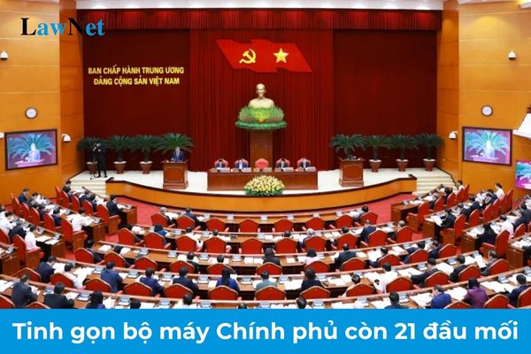 Tinh gọn bộ máy Chính phủ còn 21 đầu mối theo Kế hoạch 140? Tổng cục trưởng Tổng cục Thuế do ai bổ nhiệm?