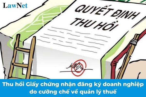 Doanh nghiệp bị thu hồi Giấy chứng nhận đăng ký doanh nghiệp do cưỡng chế về quản lý thuế khi nào?