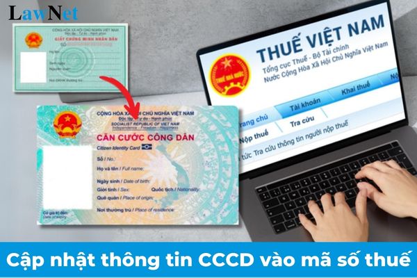 Hướng dẫn cập nhật thông tin CCCD vào mã số thuế?