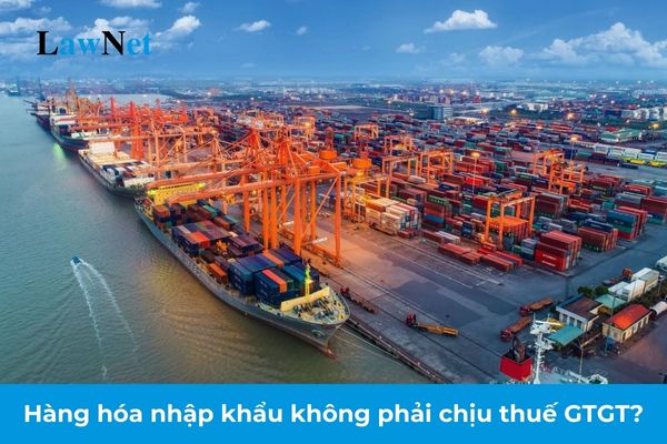 Hàng hóa nhập khẩu không phải chịu thuế GTGT trong trường hợp nào? 