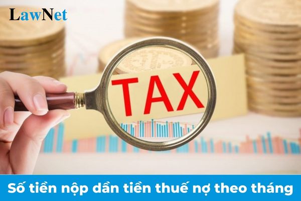 Số tiền nộp dần tiền thuế nợ theo tháng của người nộp thuế phải đảm bảo mức bao nhiêu?