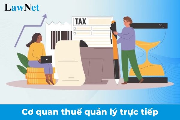 Trách nhiệm quản lý thuế của cơ quan thuế quản lý trực tiếp là gì?