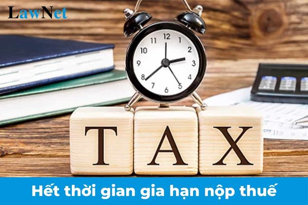 Ngày 30 tháng 12 năm 2024 sẽ hết thời gian gia hạn nộp thuế đối với hộ kinh doanh, cá nhân kinh doanh?