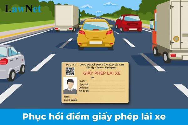 Kiểm tra kiến thức pháp luật bao nhiêu điểm thì phục hồi điểm giấy phép lái xe từ 01/01/2025? Phương tiện nào phải chịu thuế TTĐB?