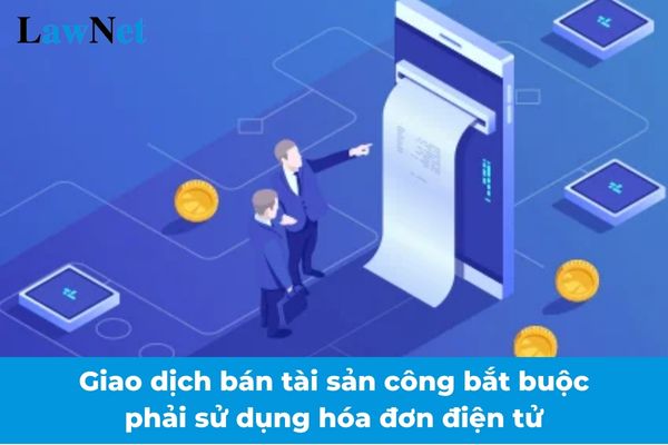 Tất cả giao dịch bán tài sản công phải sử dụng hóa đơn điện tử từ 01/01/2025?