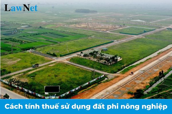 Cách tính thuế sử dụng đất phi nông nghiệp năm 2025 như thế nào?