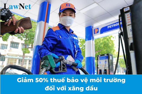 Tiếp tục giảm 50% thuế bảo vệ môi trường đối với xăng dầu trong năm 2025?