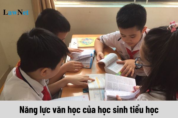 Năng lực văn học của học sinh tiểu học cần đạt những yêu cầu nào theo Thông tư 32/2018?