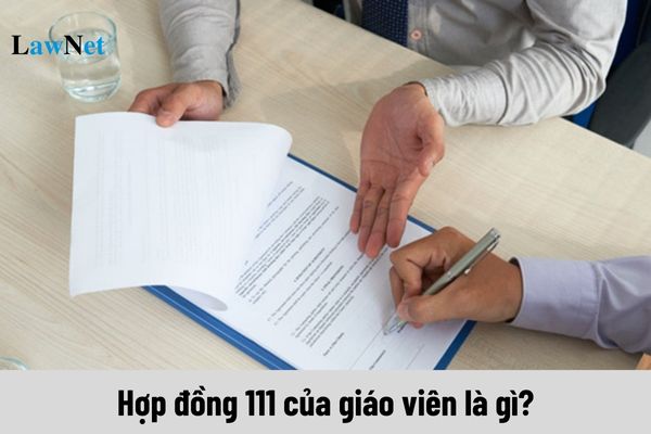 Hợp đồng 111 của giáo viên là gì?