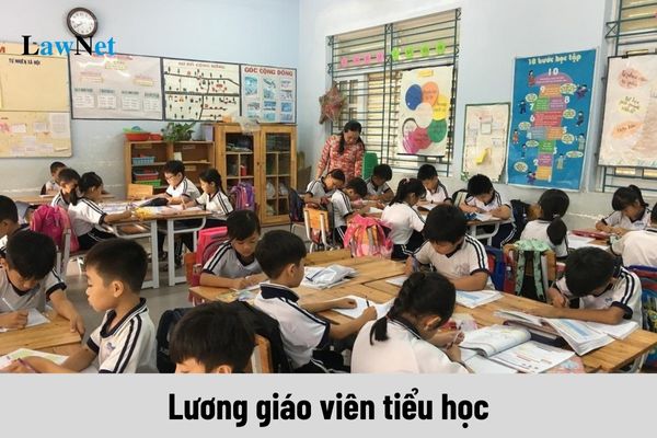 Lương giáo viên tiểu học năm 2024 ra sao khi tăng lương cơ sở lên 2,34?