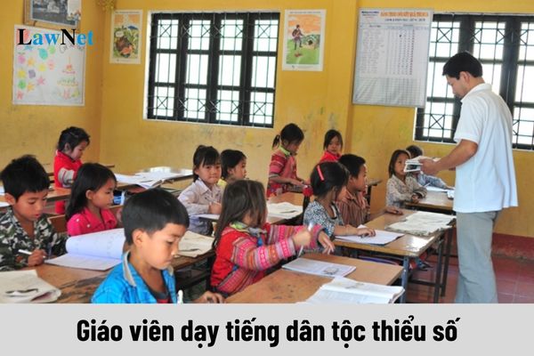 How are teachers of ethnic minority languages trained and developed?