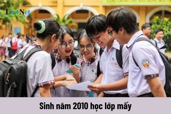 Sinh năm 2010 học lớp mấy năm 2024? Bảng năm sinh, tuổi theo lớp năm 2024?