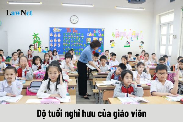 Độ tuổi nghỉ hưu của giáo viên là bao nhiêu tuổi?