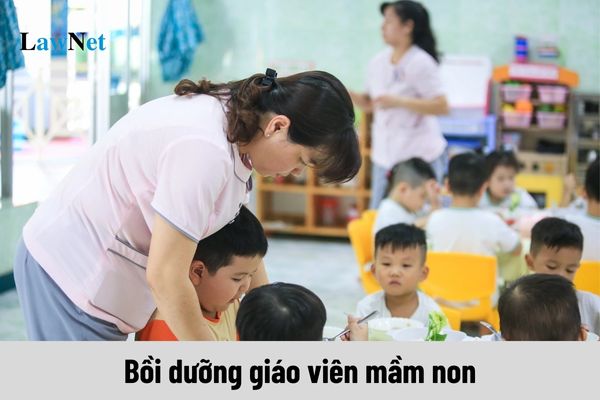 Chương trình bồi dưỡng giáo viên mầm non gồm những nội dung nào?