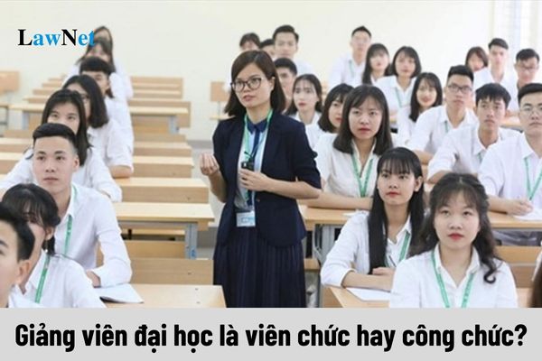 Giảng viên đại học là viên chức hay công chức?