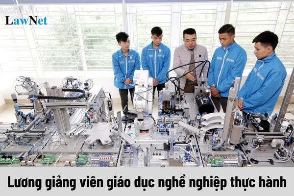 Lương của giảng viên giáo dục nghề nghiệp thực hành từ 01/7/2024 là bao nhiêu?