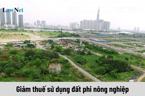 Giảm thuế sử dụng đất phi nông nghiệp với những đối tượng nào?