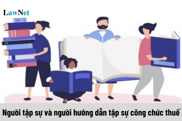 Người tập sự và người hướng dẫn tập sự công chức thuế được hưởng chế độ, chính sách như thế nào?