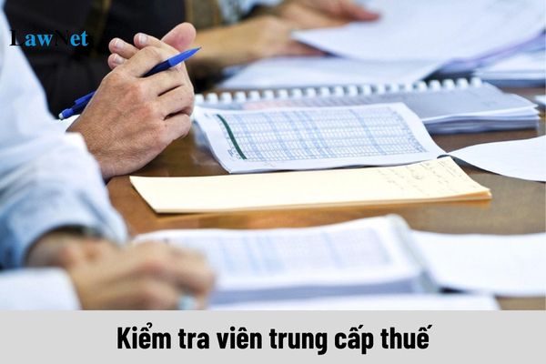 Kiểm tra viên trung cấp thuế là ai? Thực hiện những nhiệm vụ gì?