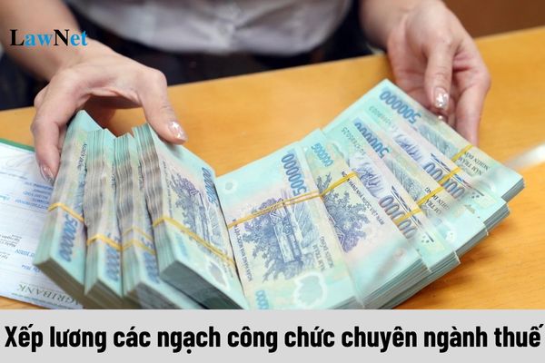 Hướng dẫn xếp lương các ngạch công chức chuyên ngành xem bóng đá trực tiếp vtv2ế?