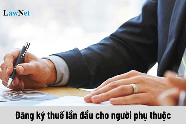 Hướng dẫn đăng ký thuế lần đầu cho người phụ thuộc giảm trừ gia cảnh trực tiếp tại cơ quan thuế?