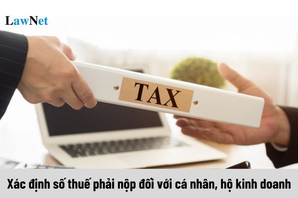 Xác định số thuế phải nộp đối với cá nhân, hộ kinh doanh như thế nào?