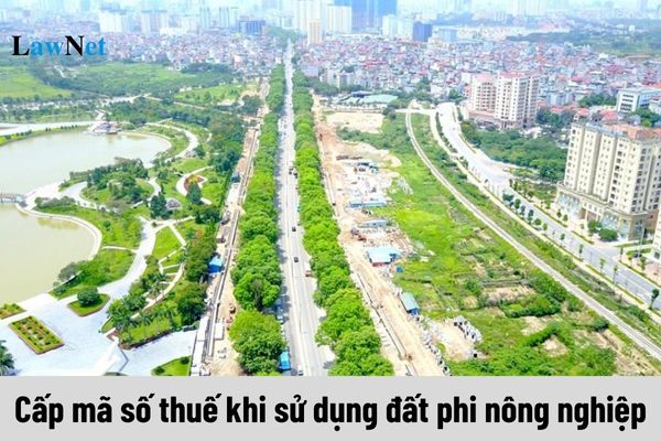 Cấp mã số thuế khi sử dụng đất phi nông nghiệp như thế nào?