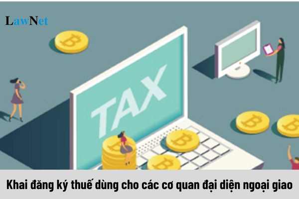 Mẫu Tờ khai đăng ký thuế dùng cho các cơ quan đại diện ngoại giao mới nhất 2025?