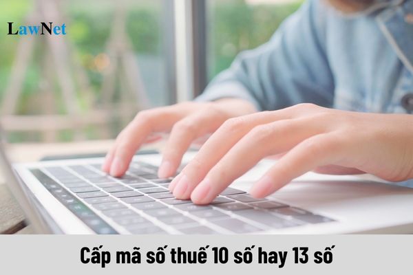 Doanh nghiệp tư nhân được cấp mã số thuế 10 số hay 13 số?