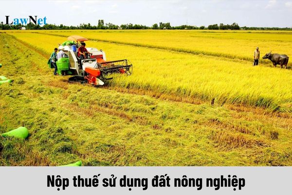 Đối tượng nào phải nộp thuế sử dụng đất nông nghiệp?