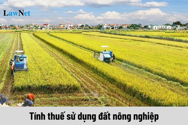 Tính thuế sử dụng đất nông nghiệp như thế nào?