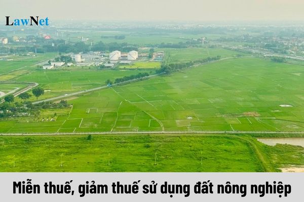 Trường hợp nào được miễn thuế, giảm thuế sử dụng đất nông nghiệp?