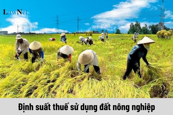 Định suất thuế sử dụng đất nông nghiệp hiện nay như thế nào?