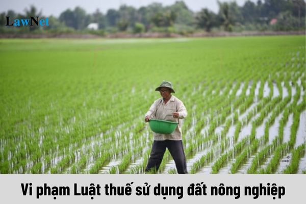 Mức xử lý đối với các hành vi vi phạm Luật thuế sử dụng đất nông nghiệp ra sao?