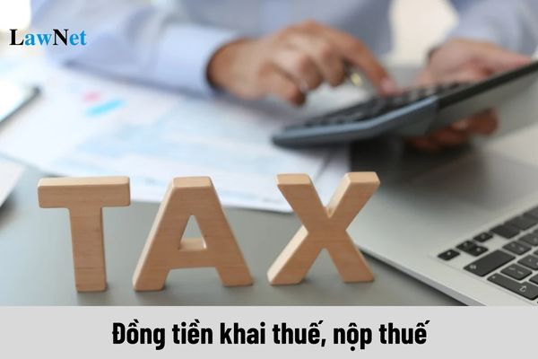 Đồng tiền khai thuế, nộp thuế bằng ngoại tệ tự do chuyển đổi do ai quy định?