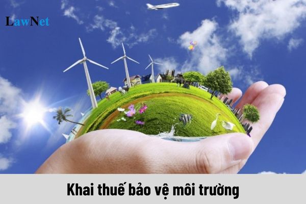 Thực hiện khai thuế bảo vệ môi trường bằng cách thức nào?