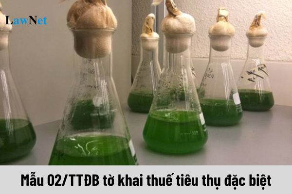 Mẫu 02/TTĐB tờ khai thuế tiêu thụ đặc biệt áp dụng đối với cơ sở sản xuất, pha chế xăng sinh học ra sao?