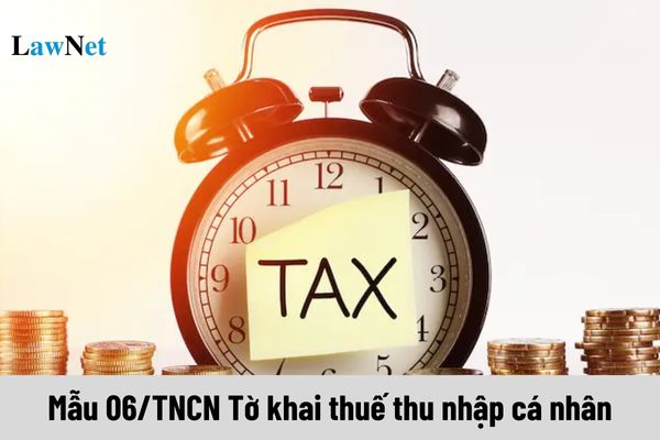 Form 06/TNCN - Personal Income Tax Declaration Form applies to what types of income?